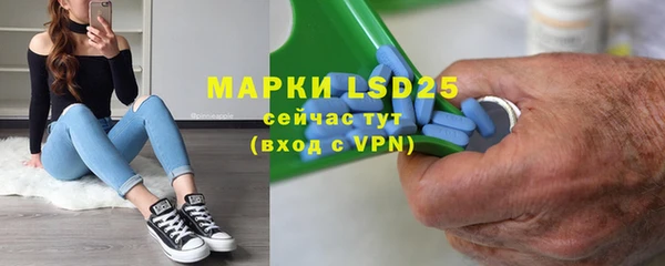 индика Магас