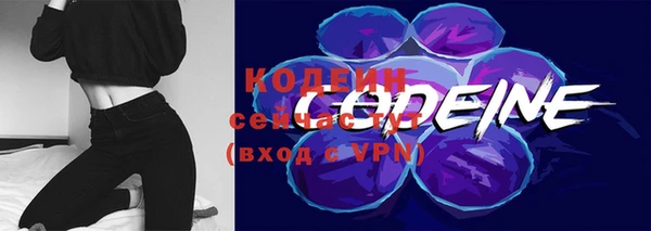 индика Магас