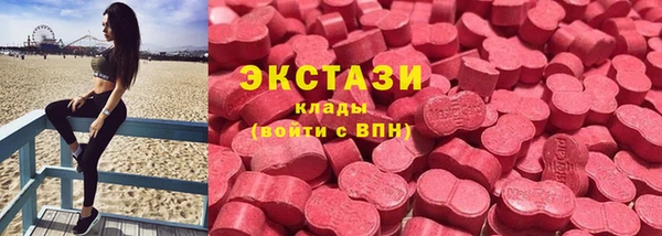 индика Магас