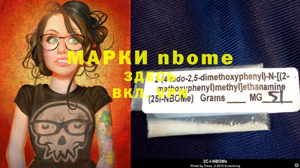 твердый Майский