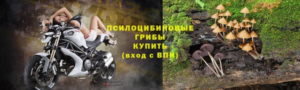 соль ск Магадан
